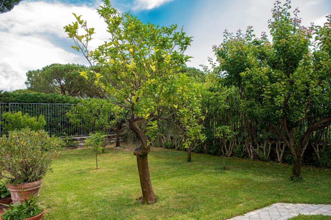 Magnificent Villa سانريمو المظهر الخارجي الصورة